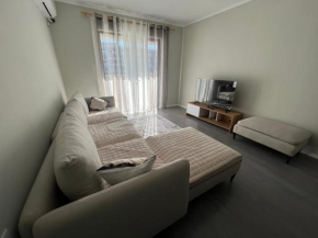 Brand new condo for rent
